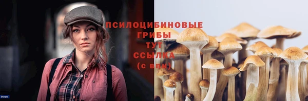 бошки Алзамай