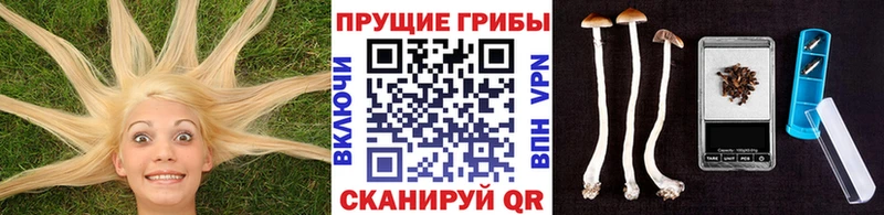 Псилоцибиновые грибы MAGIC MUSHROOMS  наркотики  кракен ONION  Темрюк 