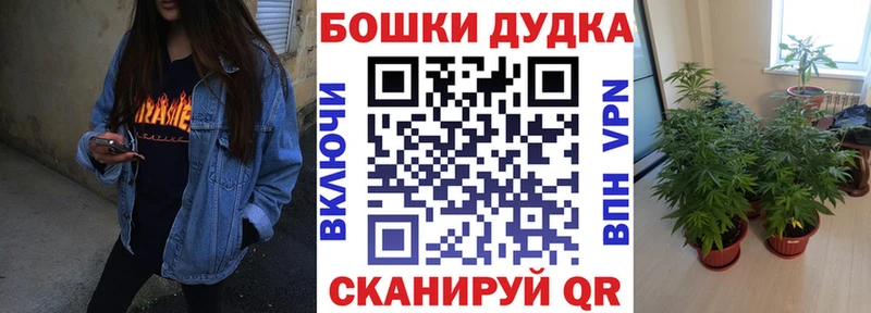 Шишки марихуана Amnesia  наркошоп  Темрюк 